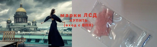 дмт Алзамай