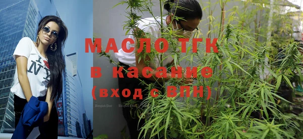 дмт Алзамай