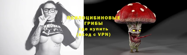 дмт Алзамай
