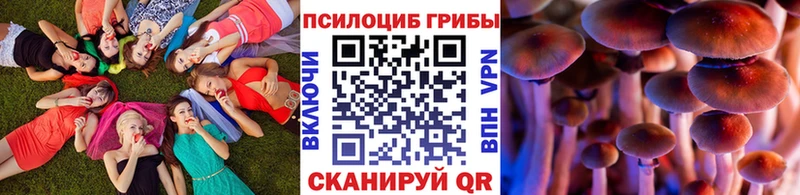 Галлюциногенные грибы Psilocybe  магазин    Глазов 